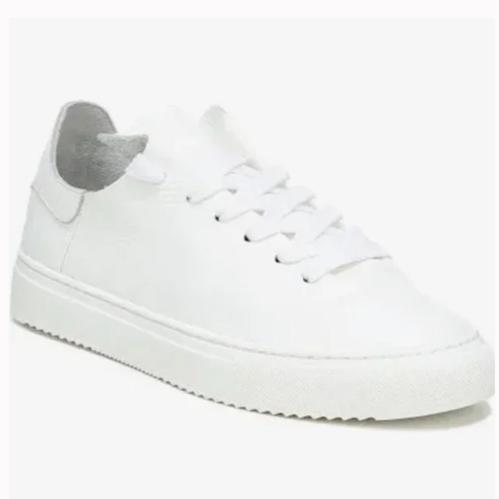 Sam Edelman Poppy Sneakers